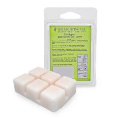 Eucalyptus Scented Wax Melt Cubes/Tarts