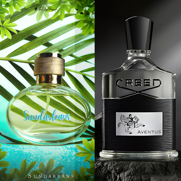 Sundarbans vs Creed Aventus